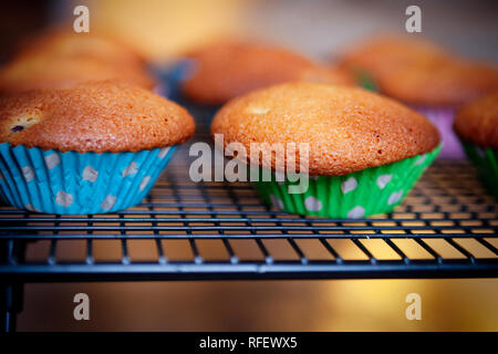 Close up de gâteaux sur une grille de refroidissement, overspilling le gâteau cas Banque D'Images