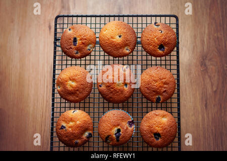 Muffins aux bleuets sur une grille de refroidissement, contre un arrière-plan de plancher en bois de chêne Banque D'Images