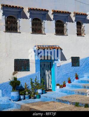Façade, entrée avec les pots de fleurs, maison bleue, Médina de Chefchaouen, Chaouen, Tanger-Tétouan, Maroc Banque D'Images