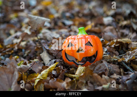 Tasses de citrouille Halloween dans les bois Banque D'Images