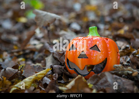 Tasses de citrouille Halloween dans les bois Banque D'Images