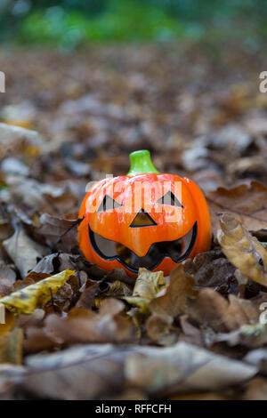 Tasses de citrouille Halloween dans les bois Banque D'Images