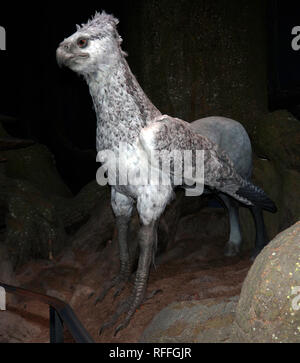 Buck l'hippogriffe de Harry Potter et le Prisonnier d'Azkaban, Warner Brothers Studio Tour, Leavesdon Banque D'Images