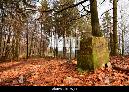 Frontière historique, pierre Wildenburger Kopf, Hunsrueck-Hochwald Parc National, l'Allemagne, Rhénanie-Palatinat Banque D'Images