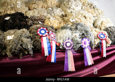 Moutons À La Royal Winter Fair Banque D'Images