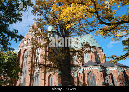 À Bad Doberan Minster (Allemagne), les arbres d'automne avec des feuilles jaunes dans le parc de l'église Banque D'Images