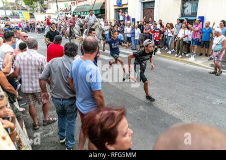 Specators taureaux chasing down street dans le rapport annuel de taureaux fête, Saint Gilles, Gard, France Banque D'Images