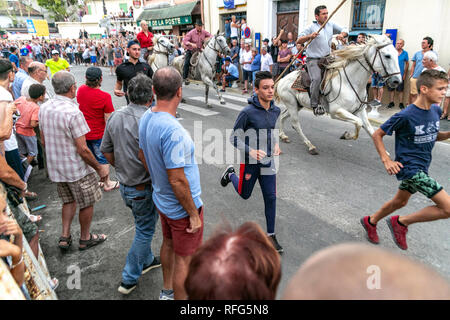 Specators taureaux chasing down street dans le rapport annuel de taureaux fête, Saint Gilles, Gard, France Banque D'Images