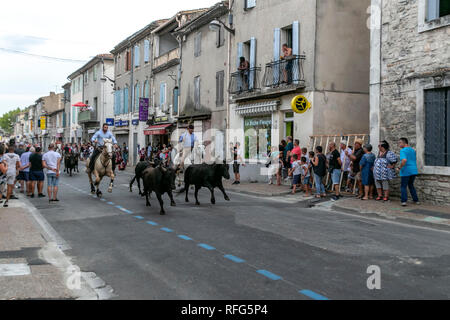 Les Gardians chassant dans la rue par des taureaux taureaux annuel fête, Saint Gilles, Gard, France Banque D'Images