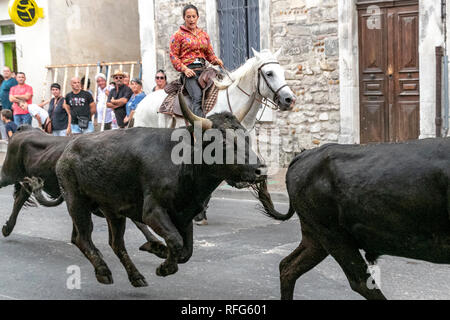 Les Gardians chassant dans la rue par des taureaux taureaux annuel fête, Saint Gilles, Gard, France Banque D'Images