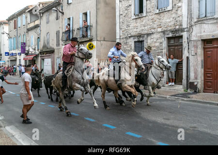 Les Gardians chassant dans la rue par des taureaux taureaux annuel fête, Saint Gilles, Gard, France Banque D'Images