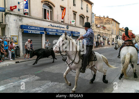 Les Gardians à cheval chevaux camargue à l'assemblée annuelle de taureaux fête, Saint Gilles, Gard, France Banque D'Images