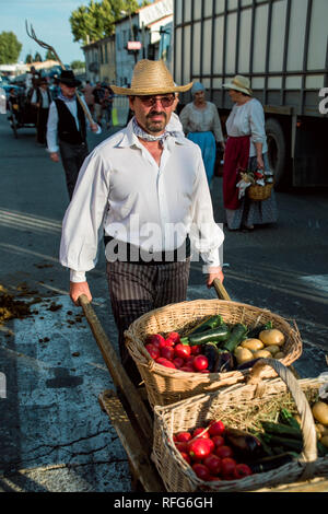 Poussant français panier avec des paniers de légumes dans l'ancienne école Défilé des métiers traditionnels à la fête annuelle, Saint Gilles, Gard, France Banque D'Images