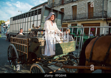 Dame française la conduite de chariot tiré par des chevaux transportant un mulet dans l'ancienne école Défilé des métiers traditionnels à la fête annuelle, Saint Gilles, Gard, France. Banque D'Images