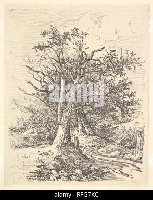 Les troncs des arbres et Lane. Artiste : John Crome (British, Norwich Norwich 1768-1821). Dimensions : plaque : 8 1/16 x 6 3/8 in. (20,4 x 16,2 cm) : feuille 14 x 10 1/2 à 9/16. (36,8 x 26,8 cm). Date : 1811-13. Un chef de la Norwich School (artistes basé près de la ville de Norfolk, qui a développé un style distinctif du paysage local), Crome a travaillé dans les huiles, aquarelles, et comme un maître de dessin, et est connu comme un graveur. À partir de 1809, il a créé des images rustique dérivé de plein-air du croquis qu'anticiper la gravure de renouveau. Au cours de la vie d'inédits Crome, intitulée 'ensembles Scen pittoresque Norfolk Banque D'Images