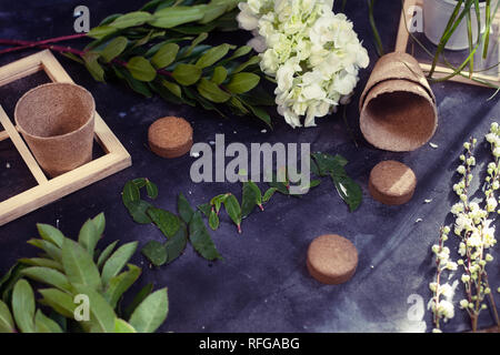 Le jardinage. Pot de plante sur une table de texture. Pour travailler dans le jardin. plantes de semis de printemps vert graines germer. Banque D'Images