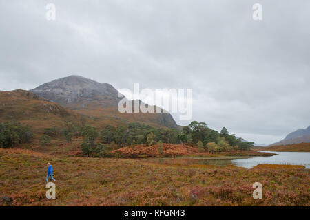 Paysage écossais à Loch Clair Banque D'Images