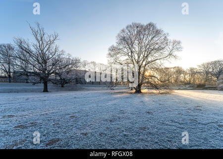 Frost en im Leipzig Richard-Wagner-Parc an der Elster Weißer Bär am Palmengartenwehr ; Sportforum Banque D'Images