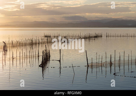 Coucher du soleil dans les eaux calmes dans le parc naturel de la Albufera, Valence, Espagne. Couleurs magiques et perfect natural background Banque D'Images