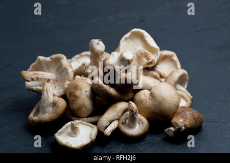 Un tas de champignons shiitake acheté dans un supermarché au Royaume-Uni sur un fond sombre, en pierre. Dorset England UK GO Banque D'Images