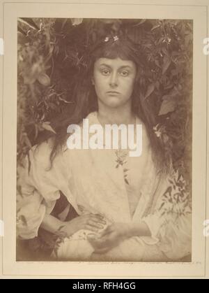 Pomona. Artiste : Julia Margaret Cameron (British (né en Inde), Calcutta 1815-1879 Kalutara, Ceylan). Dimensions : Image : 36,4 x 26,3 cm (14 3/8 x 10 5/16 in.) Mont : 49,7 x 37,4 cm (19 9/16 x 14 3/4 in.). Date : 1872. Alice Liddell (1852-1934)--qui, enfant, a été la muse de Lewis Carroll et de fréquentes modèle photographique--posés pour Cameron une douzaine de fois en août et septembre 1872. Contre un fond de feuillage dense et décoré de fleurs, le jeune homme de 22 ans Liddell a été photographié par Cameron comme l'incarnation de l'abondance fructueux, Pomona, déesse romaine des jardins et des arbres fruitiers. Musée : Banque D'Images