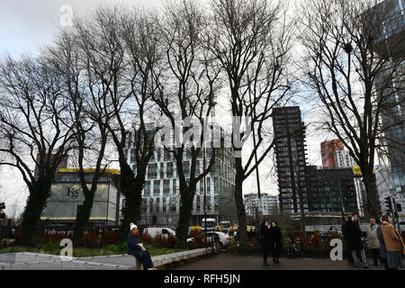 Wandsworth, Londres, Royaume-Uni. 25 Jan 2019. Communauté de Wandsworth est planter le 8/9 orme à neuf sur 25 Feb 2019 Elms, Londres, Royaume-Uni. Credit Photo : Alamy/Capital Live News Banque D'Images
