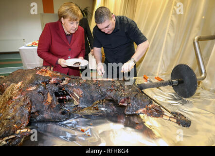 Trinwillershagen, Allemagne. 25 Jan, 2019. Angela Merkel (CDU), Chancelier de la République fédérale d'Allemagne, a Andre Teuerung, boucher, lui donner un morceau de sanglier rôti à la traditionnelle réception du Nouvel An de l'arrondissement de Poméranie-occidentale-Rügen. Crédit : Bernd Wüstneck/dpa/Alamy Live News Banque D'Images