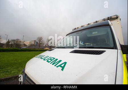 Glasgow, Ecosse, Royaume-Uni. 25 janvier 2019. Diverses scènes montrant différentes vues de autour de l'Université Queen Elizabeth Hospital. Il y a eu 2 décès de patients récemment signalé qu'il n'est cru sont liées à des infections contractées lors de la fiente de pigeon. Crédit : Colin Fisher/Alamy Live News Banque D'Images