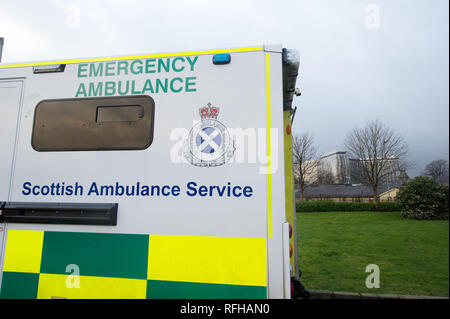 Glasgow, Ecosse, Royaume-Uni. 25 janvier 2019. Diverses scènes montrant différentes vues de autour de l'Université Queen Elizabeth Hospital. Il y a eu 2 décès de patients récemment signalé qu'il n'est cru sont liées à des infections contractées lors de la fiente de pigeon. Crédit : Colin Fisher/Alamy Live News Banque D'Images