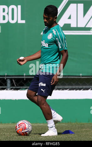 Sao Paulo, Brésil, le 26 janvier 2019. SÃO PAULO, SP - 26.01.2019 : TREINO DO PALMEIRAS - au cours de la formation, à l'Académie de football. (Photo : Cesar Greco/Fotoarena) Crédit : Foto Arena LTDA/Alamy Live News Banque D'Images