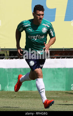 Sao Paulo, Brésil, le 26 janvier 2019. SÃO PAULO, SP - 26.01.2019 : TREINO N PALMEIRAS - Le joueur Moisés, du SE Palmeiras, au cours de la formation, dans l'Académie de football. (Photo : Cesar Greco/Fotoarena) Crédit : Foto Arena LTDA/Alamy Live News Banque D'Images