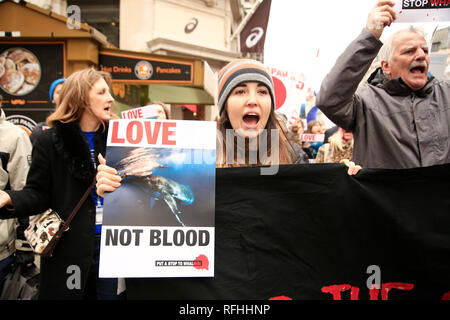 Plus de mille personnes se sont rassemblés à Cavendish Square, pour s'opposer et montrer leur indignation contre le décision de quitter la Commission baleinière internationale afin de reprendre la chasse commerciale. Stanley Johnson, Boris Johnson père et actuelle petite amie Carrie Symonds étaient également présents. La protestation ont marché vers l'ambassade du Japon, où le rallye a continué de façon pacifique. Banque D'Images
