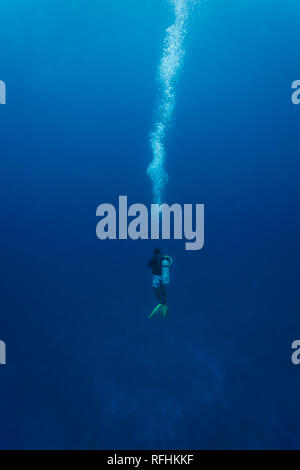 Scuba Diver en suspension dans l'eau bleue avec trail de bulles à la surface Banque D'Images