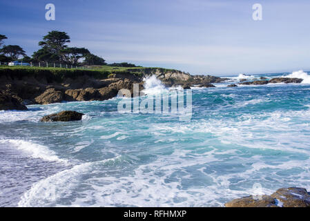 Péninsule de Monterey le long de 17 Mile Drive. Banque D'Images