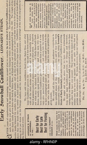 . Leonard's catalogue des maraîchers : saison 1900. Chicago Illinois pépinière ; catalogues de graines de fleurs, graines de légumes Catalogues Catalogues Catalogues ; instruments agricoles. S. F. LEONARD'S PRIX des maraîchers. 5. Veuillez noter que ces images sont extraites de la page numérisée des images qui peuvent avoir été retouchées numériquement pour plus de lisibilité - coloration et l'aspect de ces illustrations ne peut pas parfaitement ressembler à l'œuvre originale.. S. F. Leonard (Cabinet) ; Leonard, S. F ; Henry G. Gilbert Pépinière et du commerce de semences Catalogue Collection. Chicago, Illinois : S. F. Leonard Banque D'Images