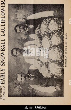 . Leonard's catalogue des maraîchers : saison 1900. Chicago Illinois pépinière ; catalogues de graines de fleurs, graines de légumes Catalogues Catalogues Catalogues ; instruments agricoles. 4. Veuillez noter que ces images sont extraites de la page numérisée des images qui peuvent avoir été retouchées numériquement pour plus de lisibilité - coloration et l'aspect de ces illustrations ne peut pas parfaitement ressembler à l'œuvre originale.. S. F. Leonard (Cabinet) ; Leonard, S. F ; Henry G. Gilbert Pépinière et du commerce de semences Catalogue Collection. Chicago, Illinois : S. F. Leonard Banque D'Images