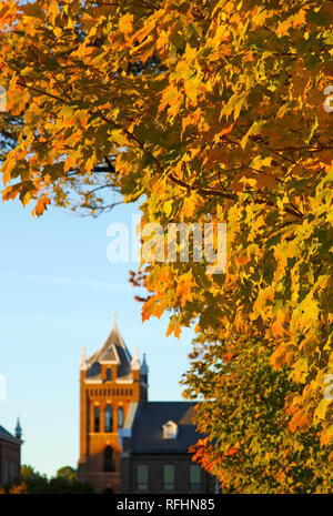Feuillage d'automne spectaculaire Banque D'Images