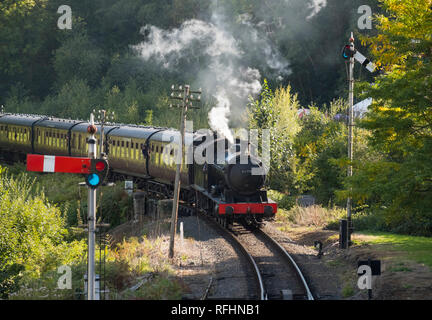 Locomotive vapeur 63395 Q6 tirant un train sur la Severn Valley Railway Highley Station à vapeur au cours de l'automne Gala, Shropshire, England, UK Banque D'Images