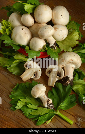 Champignon champignons dans le panier sur fond noir - libre Banque D'Images