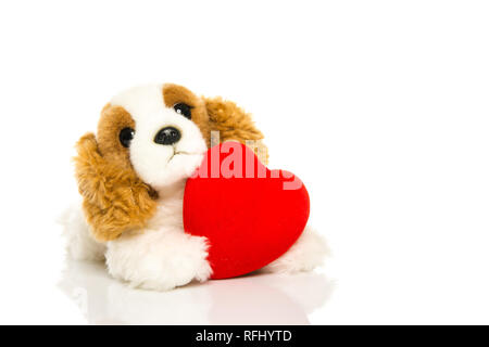 Un mignon petit chien amoureux valentine avec coeur rouge Banque D'Images