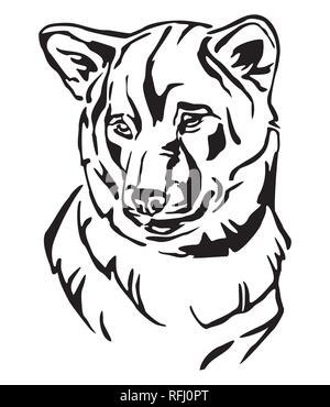 Contour décoratif portrait de chien Shiba Inu, vector illustration en couleur noir isolé sur fond blanc. Droit pour la conception et de tatouage. Illustration de Vecteur