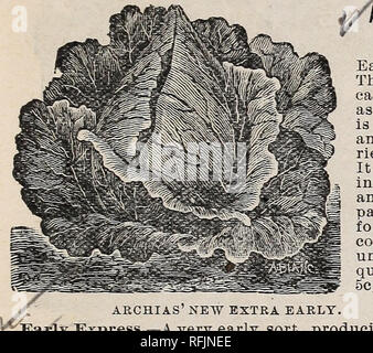 . Dix-septième année guide rural et catalogue. Pépinière Missouri ; Catalogues Catalogues ; Graines de légumes graines de fleurs Graines d'herbes ; Catalogues Catalogues ; Matériel et fournitures de jardinage Catalogues. Ne passez pas votre temps et argent sur "cheap" de la graine du chou cité dans certains catalogues le meilleur. Nos prix sont aussi bas que les meilleures semences cultivées américain peut être vendu pour. Nos graines de chou sont soigneusement choisies et se- aucune dans nos listes ne parviendra pas à donner satisfaction parfaite avec un traitement approprié. Pour le début de l'énoncé des travaux de chou dans des lits en février ou mars. Dès que la transplantation est prêt. Quand Banque D'Images