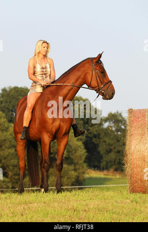 Dame ride horse on meadow in summer day Banque D'Images