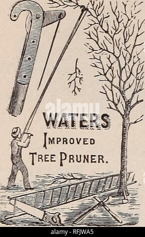 . Catalogue descriptif et calendrier annuel : les graines. Pépinière Connecticut New Haven catalogues ; catalogues ; Graines de légumes graines de fleurs Plantes ornementales ; catalogues, catalogues Catalogues ; fruits ; Matériel et fournitures de jardinage Catalogues. J'IO FRANK S. PIATT'S FARM, GARDFN SEKD ET MANUEL.. Eaux' IHPROVED PRUNER ARBRE. Le petit espace nécessaire pour travailler le couteau lui permet d'être utilisée entre les branches denses, proches, où beaucoup de difficulté se trouve dans l'aide de la cisaille à l'ancienne. Prunning de framboise, de mûre et de rosiers il s'est avéré particulièrement réparables. Les nids de suppression des vers Banque D'Images
