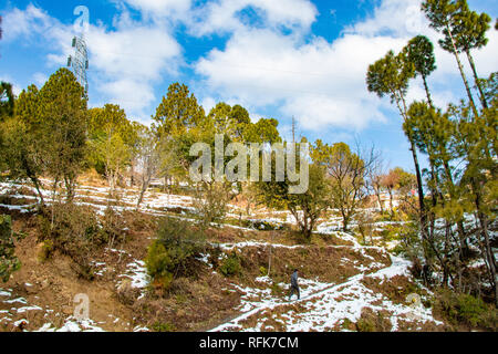 Chutes de neige dans la région des collines de terrain agricole avec les arbres sur les nuages blancs et ciel bleu, beau paysage Banque D'Images