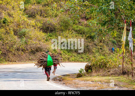 Homme portant arbre branche bois sur ses épaules pour le chauffage en hiver et tradinitally utilisée pour faire cuire les aliments balade au bord de la route Banque D'Images