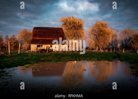 Ancienne grange exprimés en orange comme le coucher du soleil illumine le bâtiment et les environs de saules qui jetaient un reflet dans une flaque de cour grange Banque D'Images