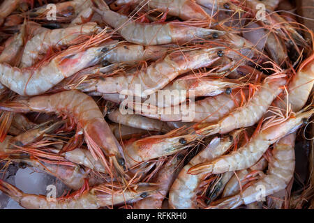 Matières des crevettes fraîches sur comptoir du marché Banque D'Images