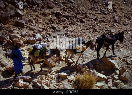 Le Tassili N'Ajjer, ALGÉRIE - 10 janvier 2002 : homme inconnu avec nomades pour le transport dans les dunes de sable du désert du Sahara algérien, de l'Afrique, le Tassili N' Banque D'Images