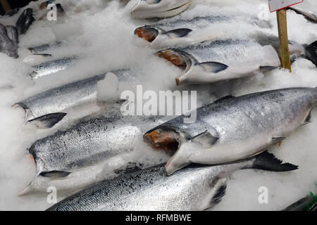 Poisson frais s'asseoir sur la glace et sont prêts pour l'achat. Banque D'Images